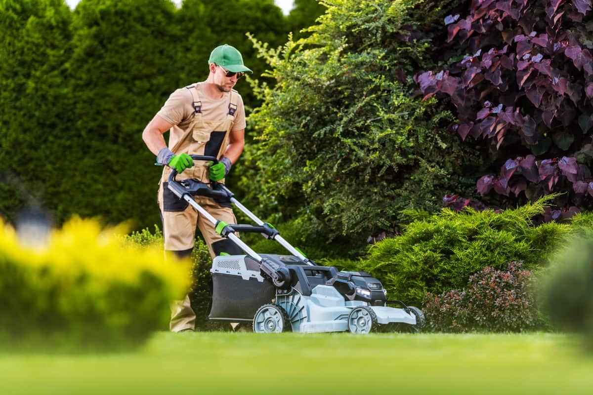 Unlock the Secret to a Stunning Lawn Today