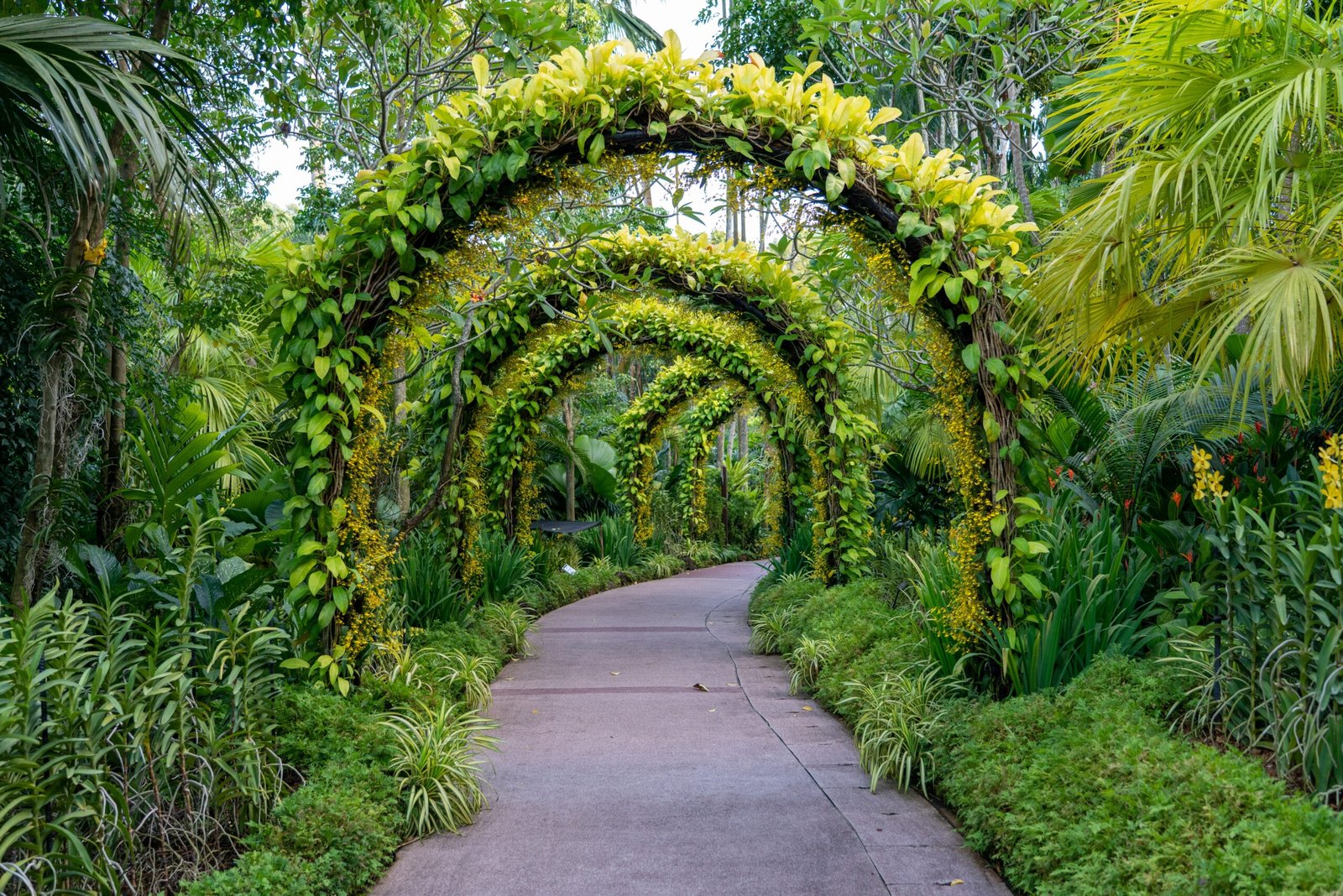 Love Your Garden? Go Chemical-Free for Pests!